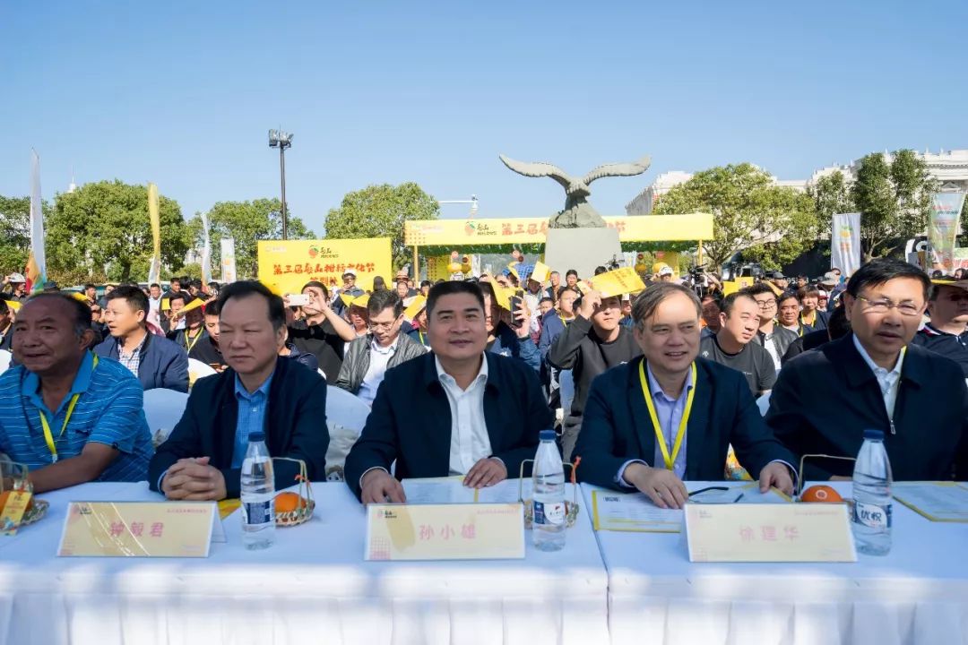 象山文化节视频,象山枇杷节开幕式