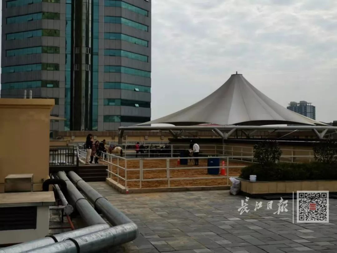 武汉一家商场出现“空中马场”!安全吗?卫生吗?