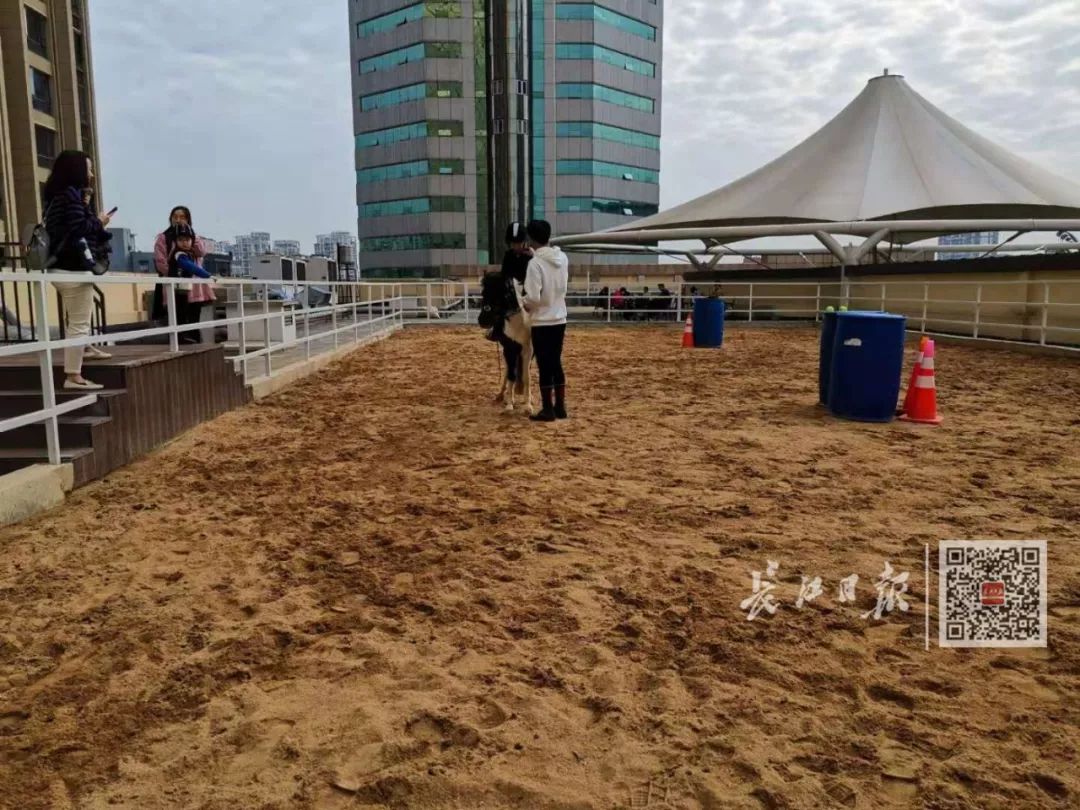 武汉一家商场出现“空中马场”!安全吗?卫生吗?