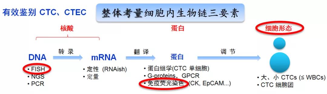 新视角pdd名单,scc在肺癌诊断中的价值