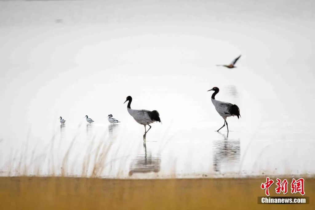 青海属不属于高原,青海有多不起眼