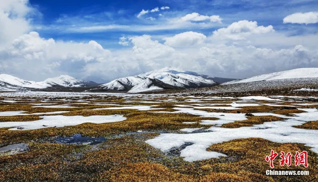 青海属不属于高原,青海有多不起眼