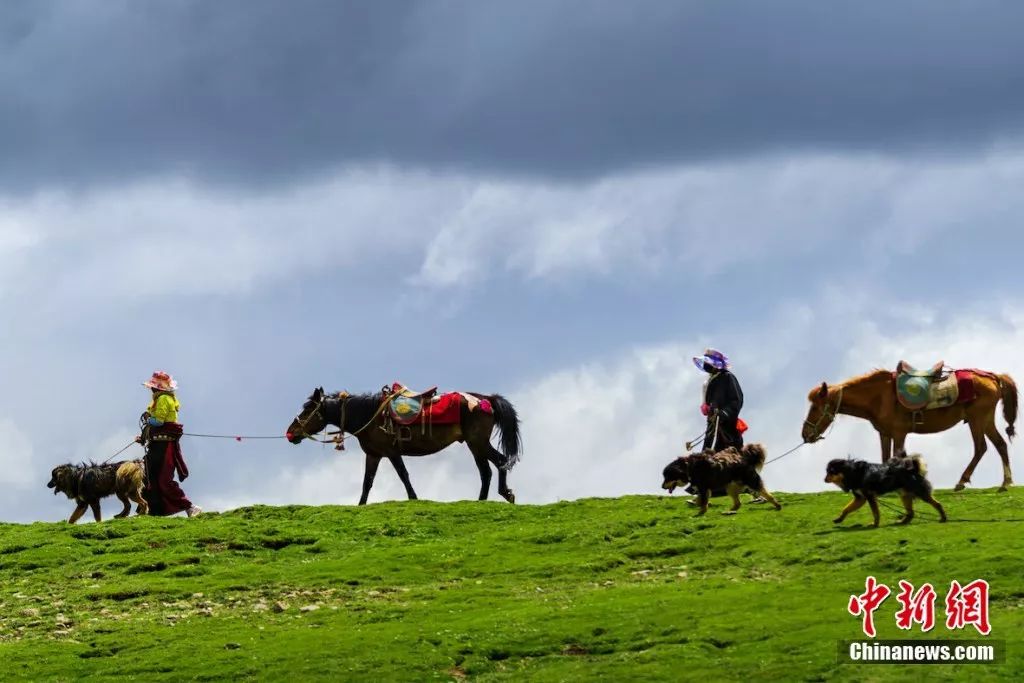 青海属不属于高原,青海有多不起眼