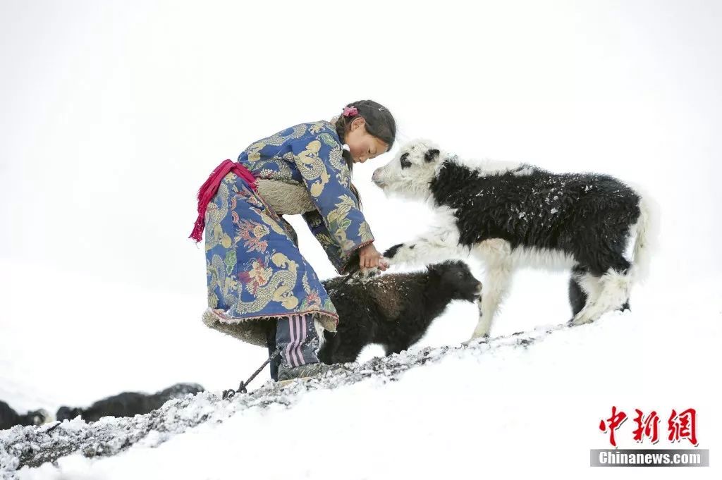 青海属不属于高原,青海有多不起眼