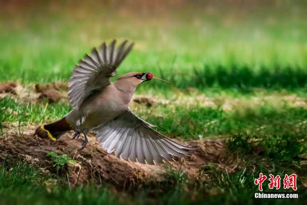 青海属不属于高原,青海有多不起眼
