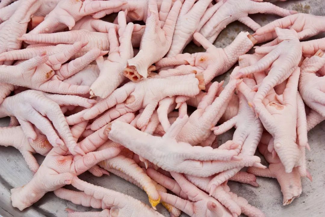 中国人最爱的脚，只有鸡jio