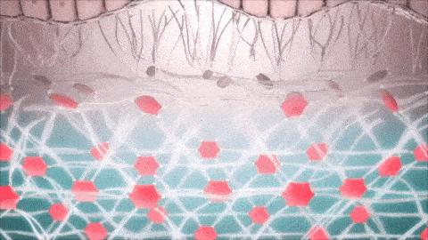 盲测|微整不急!先试试黑科技抗老面霜