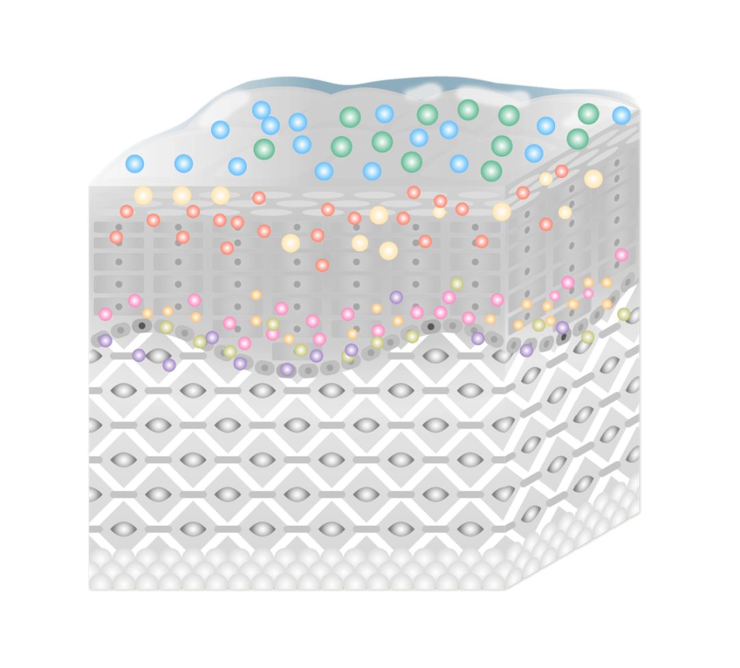 盲测|微整不急!先试试黑科技抗老面霜