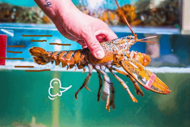 唉哟~~好凉快哟~~好大滴风哟~~~~呜呜喳喳的大风，吹的你们东倒西歪赶紧来点火锅续命