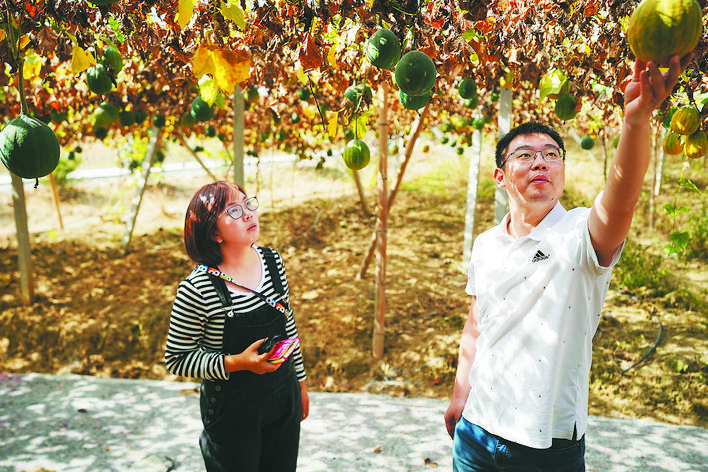 念好乡村“美丽经”让笏山“改头换面”