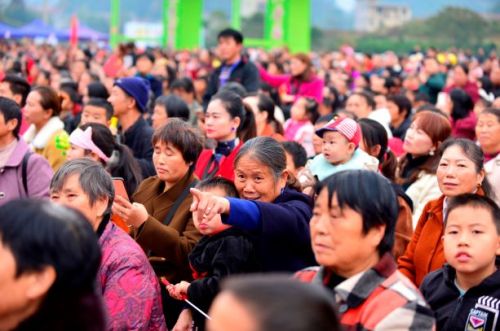 宣恩贡水柚直播间,宣恩贡水白柚节图片