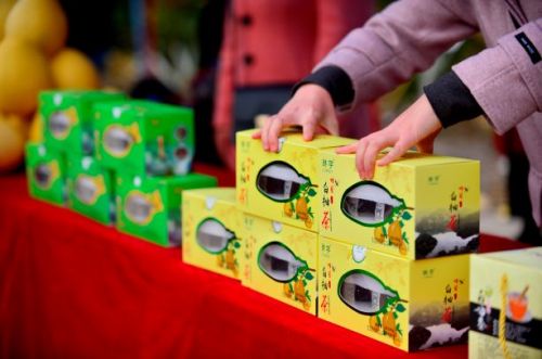 宣恩贡水柚直播间,宣恩贡水白柚节图片