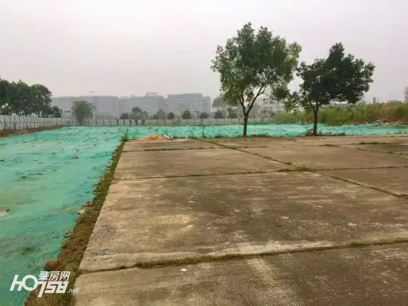 华英太和产业园润达建材城招商启动会—开启肇庆家居建材市场新篇章