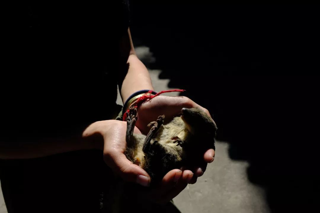 在“山洞”里过了两年乌托邦的生活，我渐渐明白了安定的意义