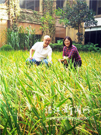 陈宇我来自他乡,陈宇安徽师范大学