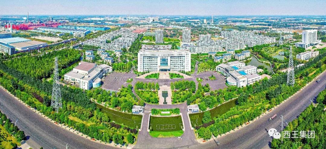 西王集团新进展,西王集团2019年经营情况