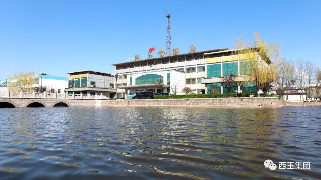 西王集团新进展,西王集团2019年经营情况