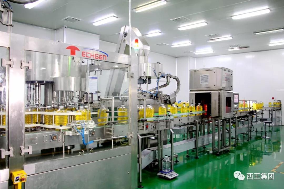 西王集团新进展,西王集团2019年经营情况