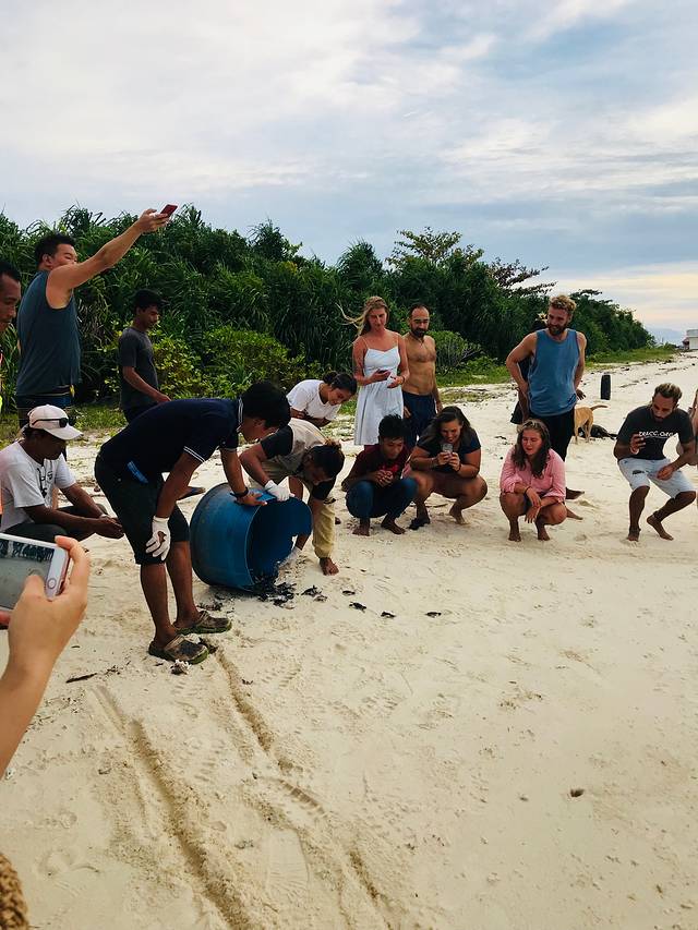 仙本那白珍珠度假村攻略,仙本那度假村深度体验