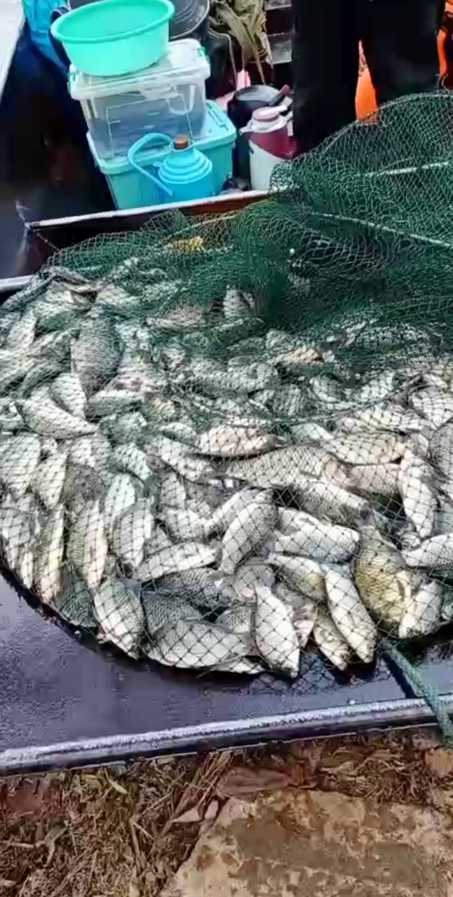 老钓友调漂视频,老钓友教你一招