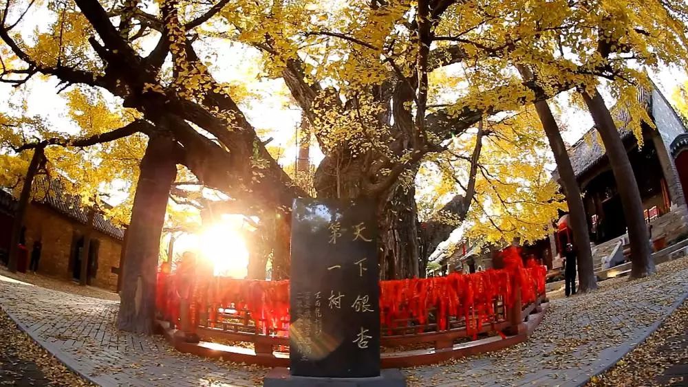 爱上日照的理由是什么,爱日照的100个理由