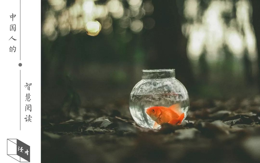 你的床太干净了,一张床衡量婚姻的质量