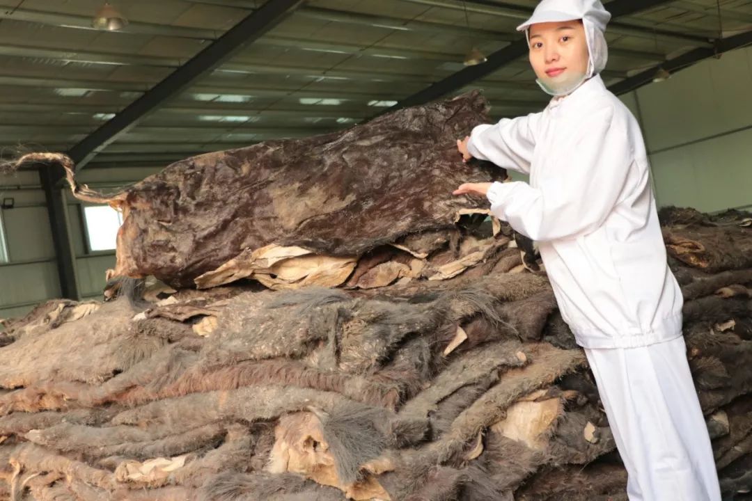 42宀佸ぇs淇濆吇绉樿瘈,43宀佺殑澶鎬庝箞淇濆吇