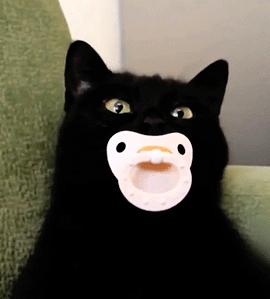 成本几元卖上百，成分致癌，你家孩子可能正在用