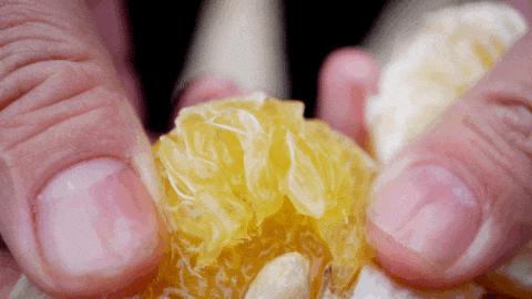 认识下广东人从小吃到大的宝藏水果，像冬季里清甜的山泉