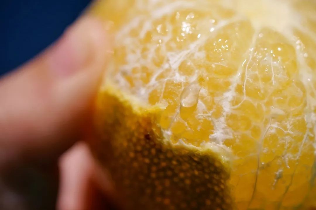 认识下广东人从小吃到大的宝藏水果，像冬季里清甜的山泉