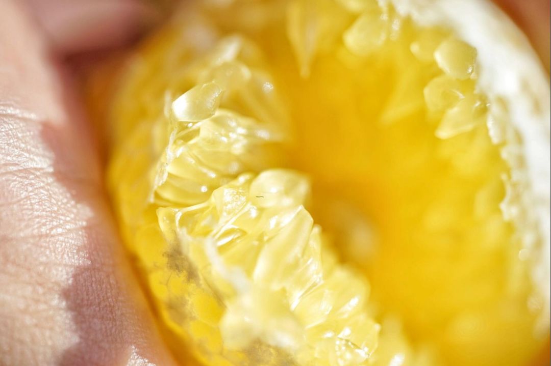 认识下广东人从小吃到大的宝藏水果，像冬季里清甜的山泉