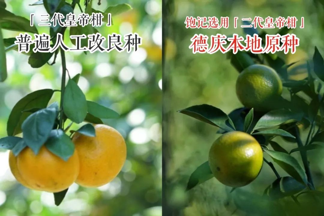 认识下广东人从小吃到大的宝藏水果，像冬季里清甜的山泉