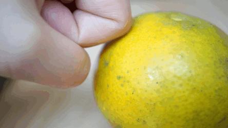 认识下广东人从小吃到大的宝藏水果，像冬季里清甜的山泉