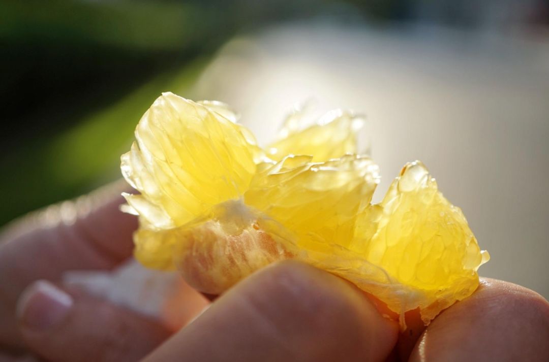 认识下广东人从小吃到大的宝藏水果，像冬季里清甜的山泉