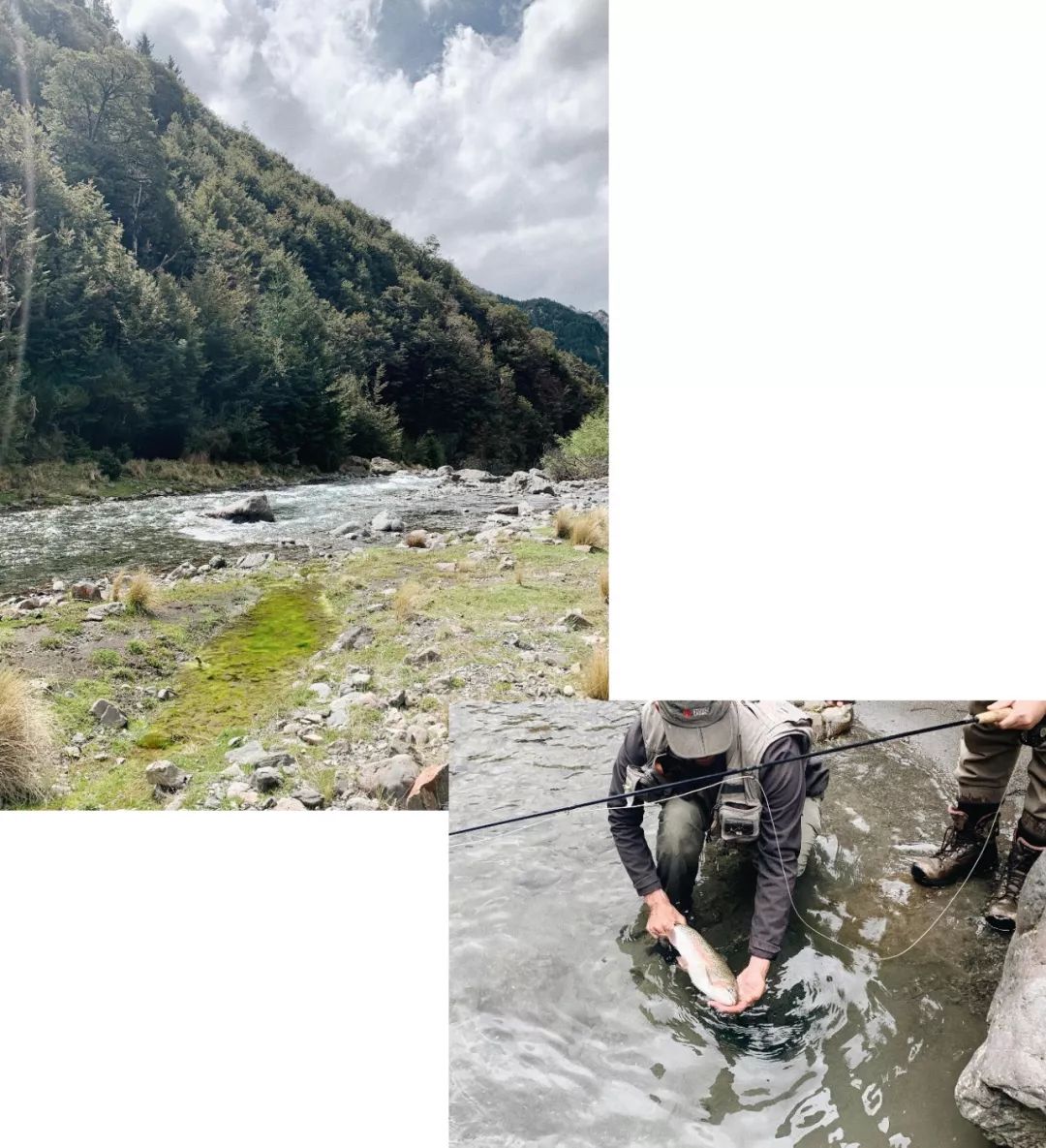 新西兰旅行的感受,新西兰旅游享受快乐每一天