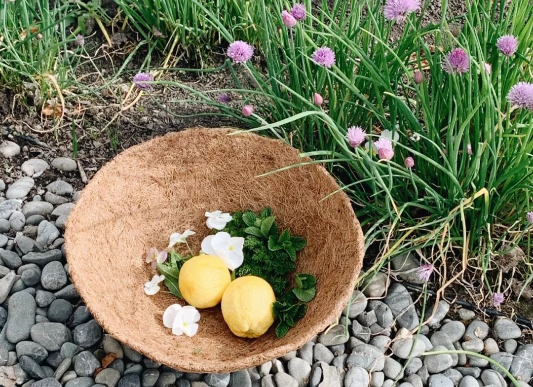 新西兰旅行的感受,新西兰旅游享受快乐每一天