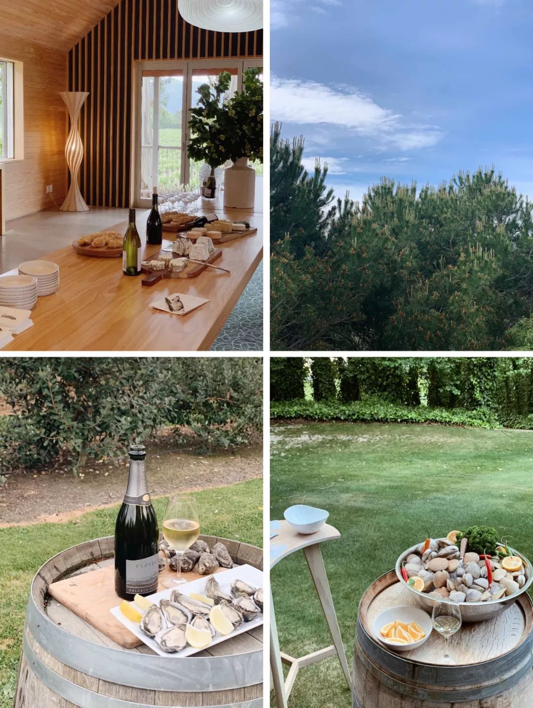 新西兰旅行的感受,新西兰旅游享受快乐每一天