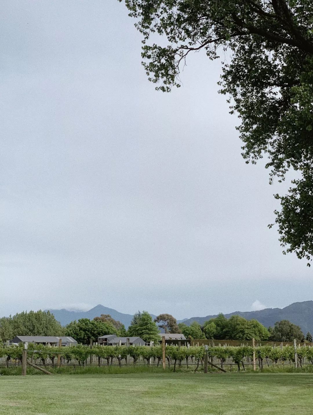 新西兰旅行的感受,新西兰旅游享受快乐每一天