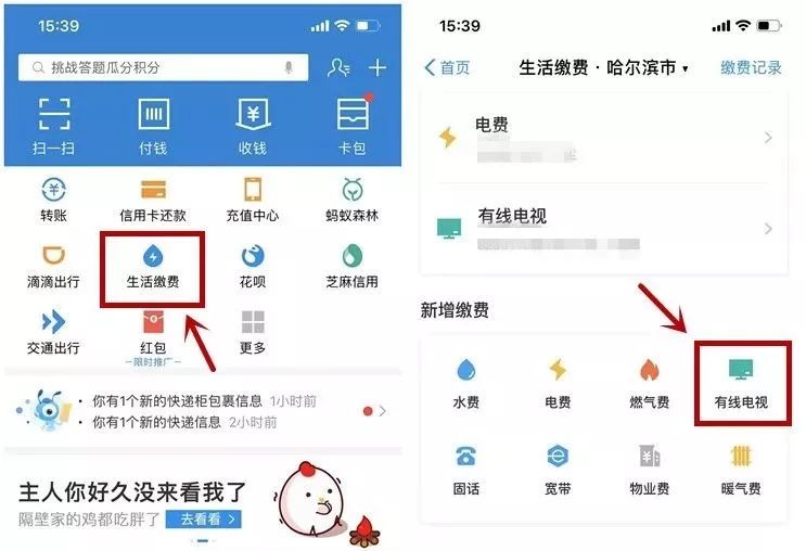 龙江广电网络办理,龙江广电网络有线电视