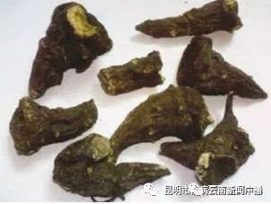 今年已致212人发病，我省发布乌头碱类中药材中毒防控预警公告