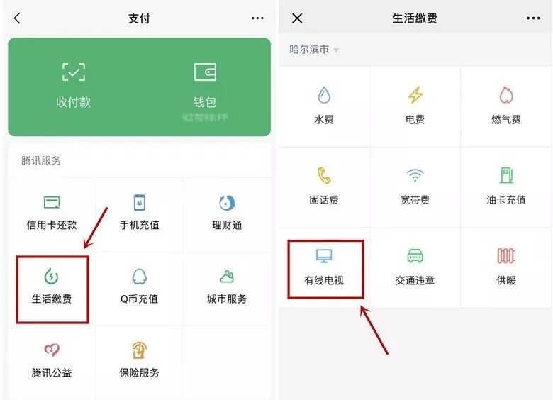 龙江广电网络办理,龙江广电网络有线电视