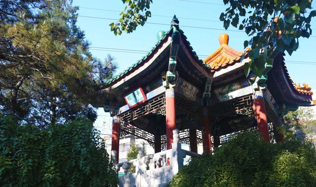 北京市第二十中学校,北京第二十中学校怎么样