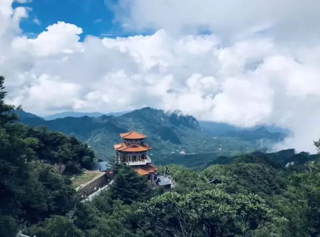 嵩县的这些“非卖品”，你都知道吗？