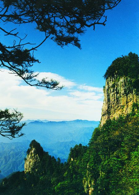 嵩县的这些“非卖品”，你都知道吗？