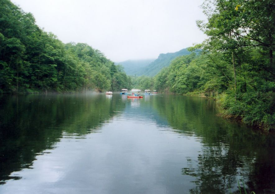 嵩县的这些“非卖品”，你都知道吗？