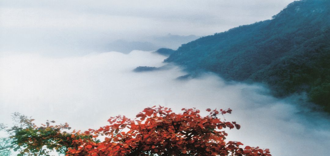 嵩县的这些“非卖品”，你都知道吗？