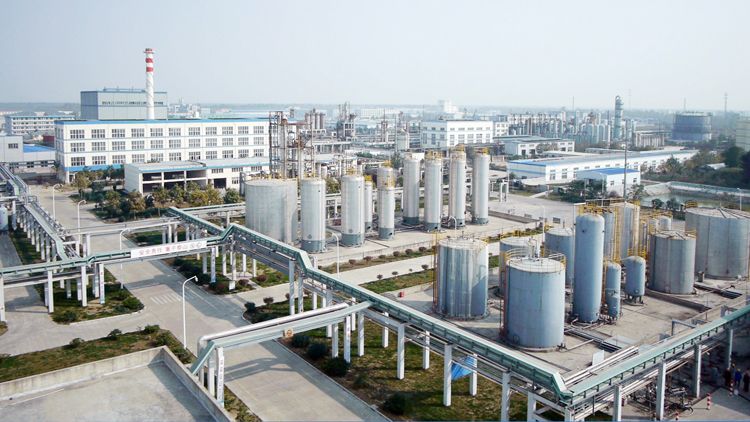 载体为“媒”宿迁科技创新之花竞芳华