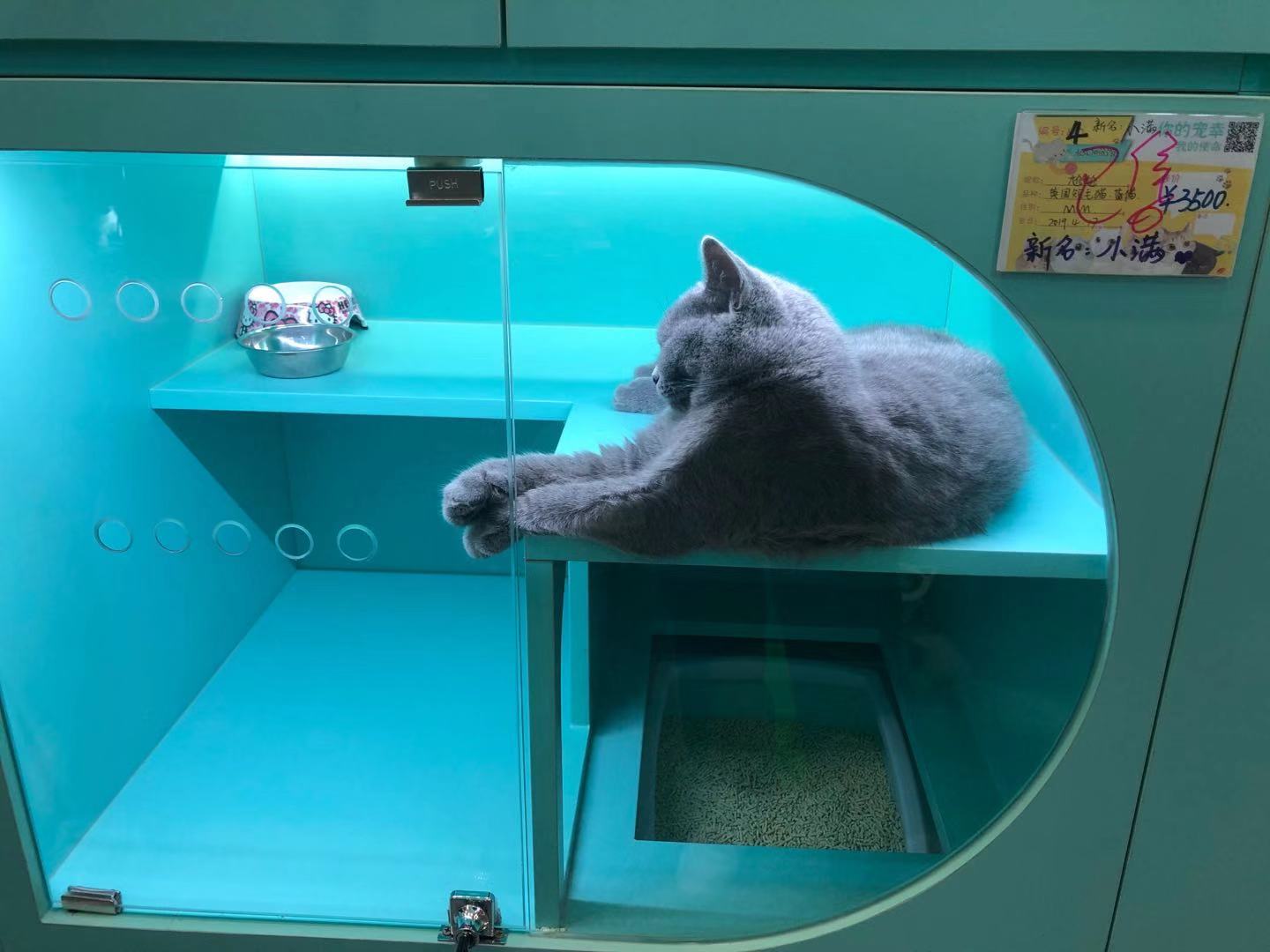 深圳宠物购物市场,深圳宠物用品商店地址