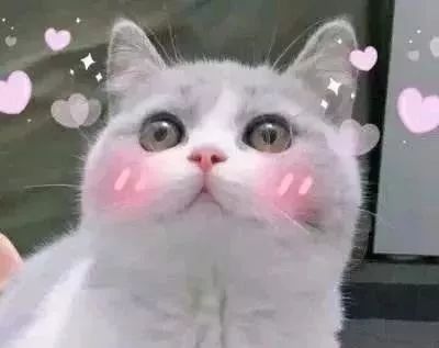 日本平价面膜补水面膜排行榜10强,日本无添加的保湿面膜好用吗