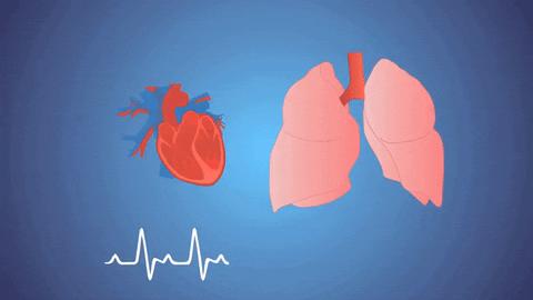 如何改善肺功能提高肺活量,改善肺部呼吸机能的方法
